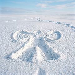 Snow Angel Parfümöl - F&uuml;r weitere Informationen anklicken